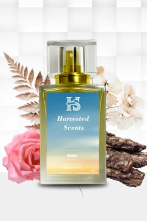 Aseel Perfume