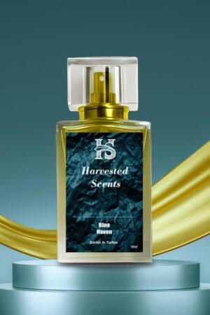 Blue Haven Inspired by Cool Water Davidoff