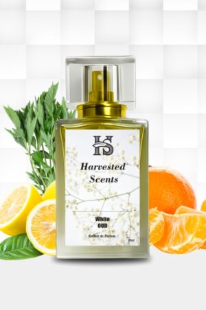 White Oud Perfume